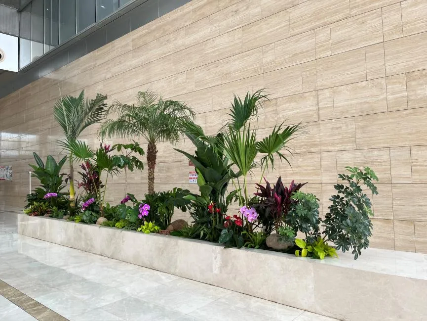 宁波慈溪花木租赁服务好